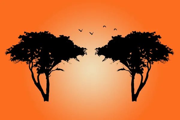 Силуэт дерева с птицами — стоковое фото