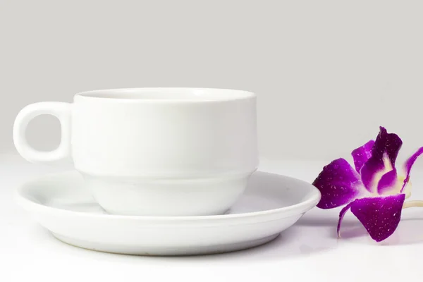 Coffee cup and saucer on a white background. — Stock Photo, Image