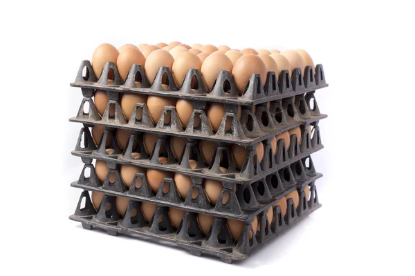 Wiele brązowych jaj wyizolowanych na białym — Zdjęcie stockowe