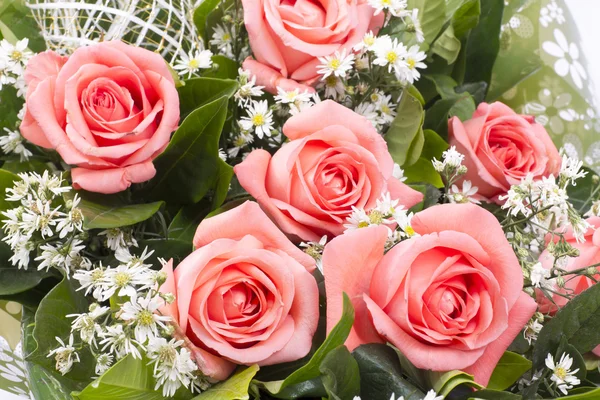 Achtergrondafbeelding van roze rozen — Stockfoto