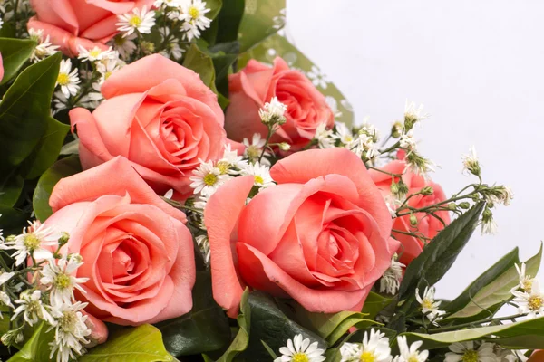 Фоновое изображение розовых роз — стоковое фото
