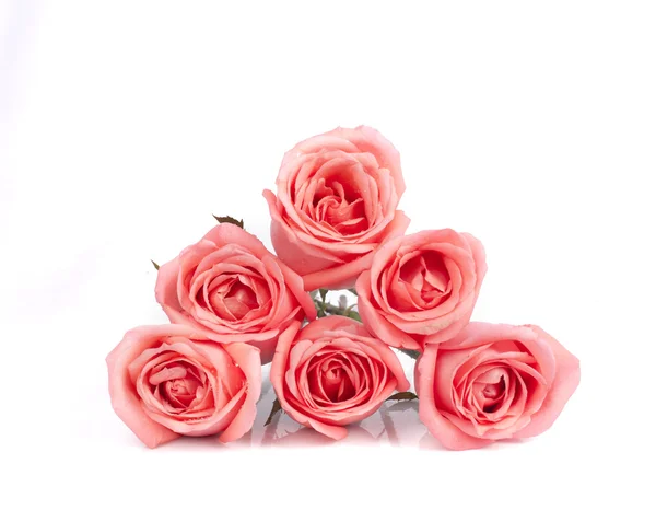 Image de fond de roses roses — Photo