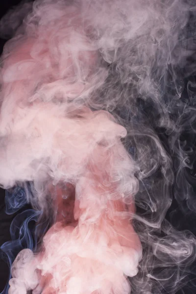 Rook op achtergrond kleur — Stockfoto