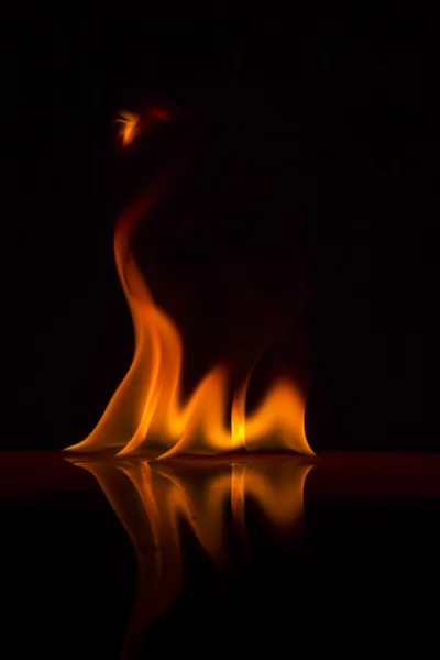 Fire flames on a background — Stock Photo, Image