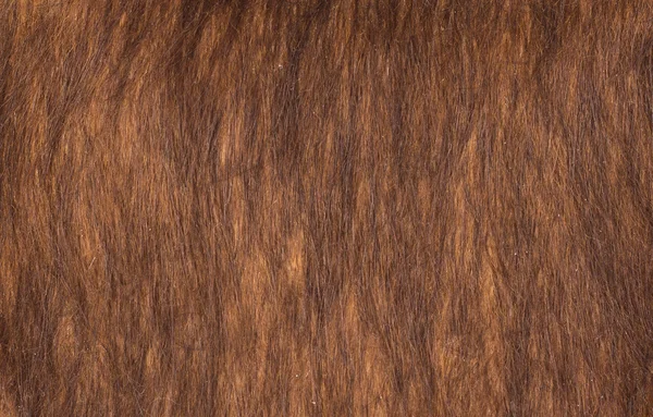 Texture background of red and brown horsehair — Stock Photo, Image