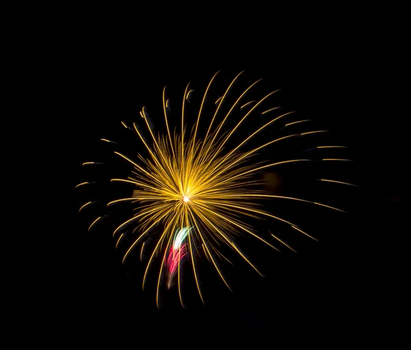 Colorful fireworks on the black sky background — Stock Photo, Image
