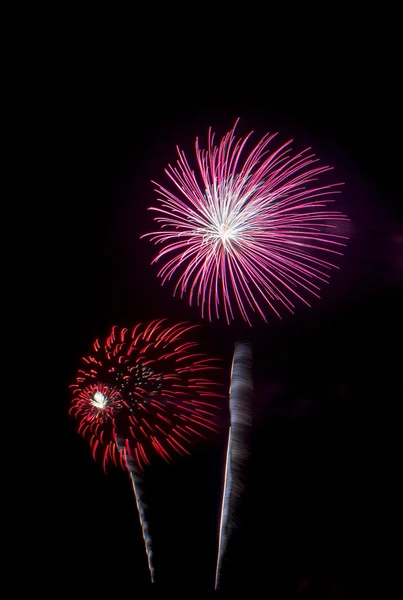 Fogos de artifício coloridos no fundo do céu negro — Fotografia de Stock