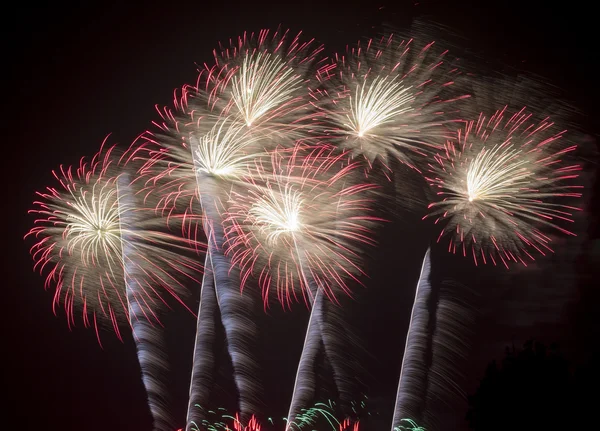 Colorful fireworks on the black sky background — Stock Photo, Image