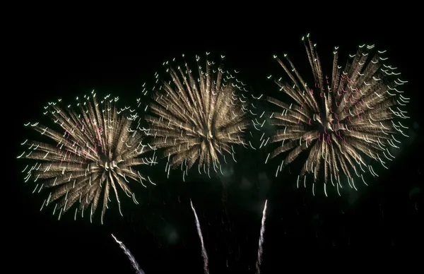 Fuochi d'artificio colorati sullo sfondo del cielo nero — Foto Stock