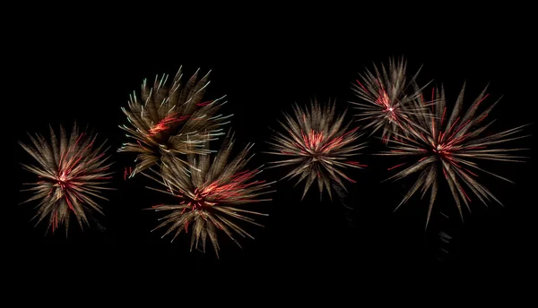 Fogos de artifício coloridos no fundo do céu negro — Fotografia de Stock