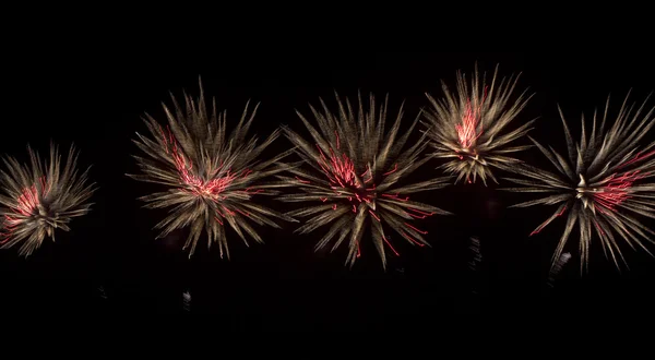 Fogos de artifício coloridos no fundo do céu negro — Fotografia de Stock