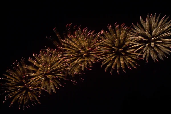 Fuochi d'artificio colorati sullo sfondo del cielo nero — Foto Stock