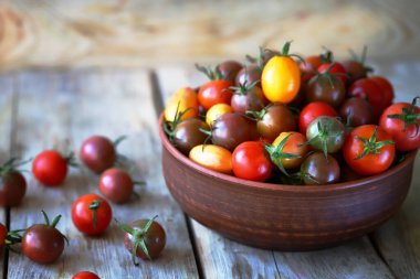 Kasede ve tahta yüzeyde mini domatesler. Domates hasat et..