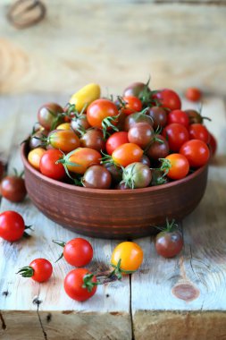Kasede ve tahta yüzeyde mini domatesler. Domates hasat et..