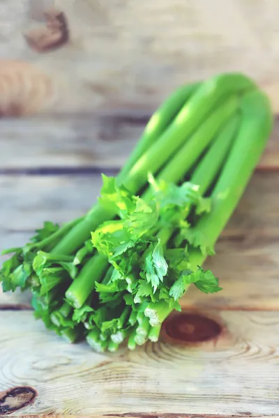 Celery Fresh Stalks Leaves Celery — Stock Photo, Image