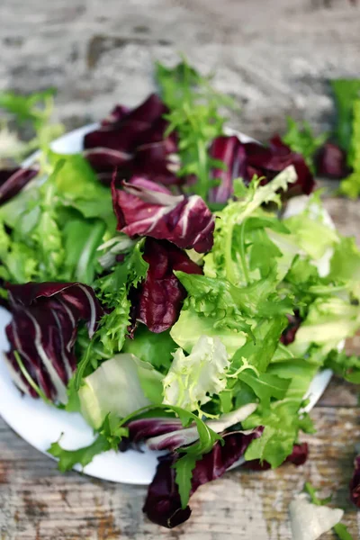 Mistura Fresca Saladas Uma Chapa Conceito Alimentação Saudável Alimentos Dietéticos — Fotografia de Stock