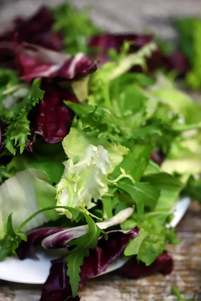 Verse Mix Van Salades Een Bord Gezond Voedsel Concept Dieetvoeding — Stockfoto