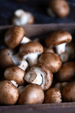 Tahta bir kutuda kraliyet şampiyonları. Seçici odaklanma. Makro.