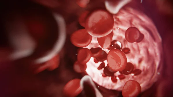 Blood cells on the way - 3D rendering — Stok fotoğraf