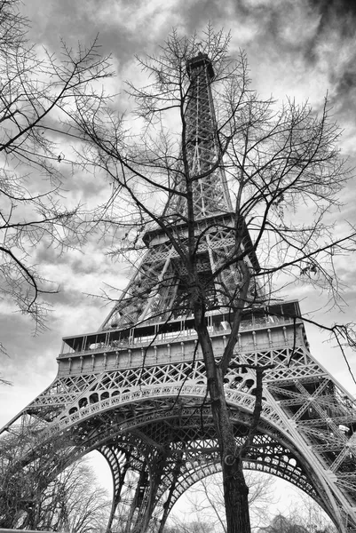 La Torre Eiffel en las ramas del árbol . —  Fotos de Stock