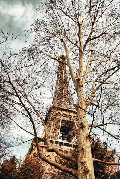 Eiffel tower concealed among the trees. — Stock Photo, Image
