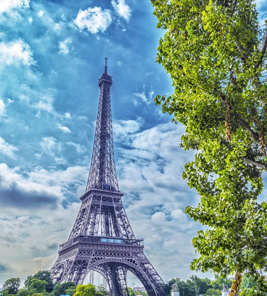 La torre e l'albero — Foto Stock