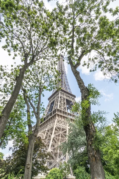 The Tower through the trees — Stock Photo, Image