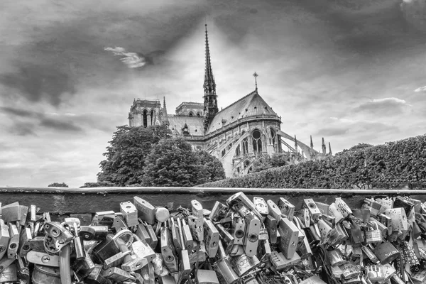 Notre Dame Cathedral from the bridge — Stock Photo, Image