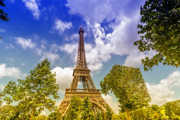 Torn eiffel utsikt från trädgården — Stockfoto