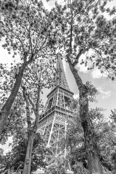 La Torre tra gli alberi — Foto Stock