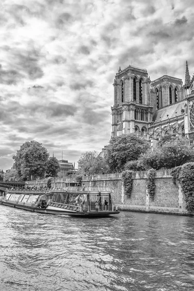 Notre dame katedrála pohled z řeky Seiny — Stock fotografie