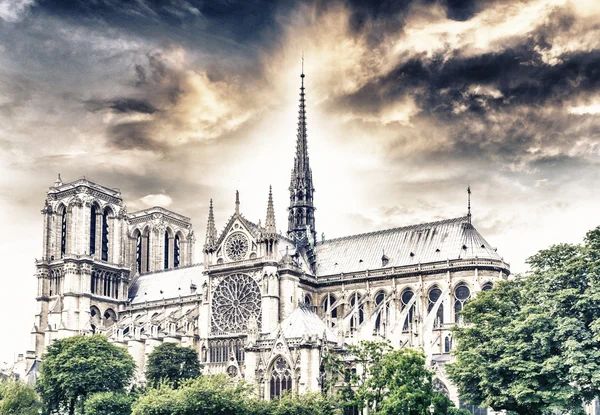 Katedra Notre Dame, Paryż — Zdjęcie stockowe