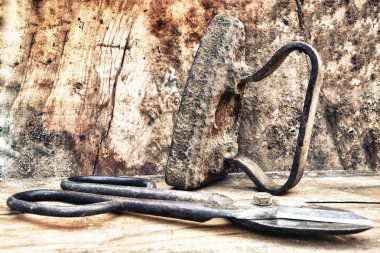 eski araçlar: flatiron ve budama makası