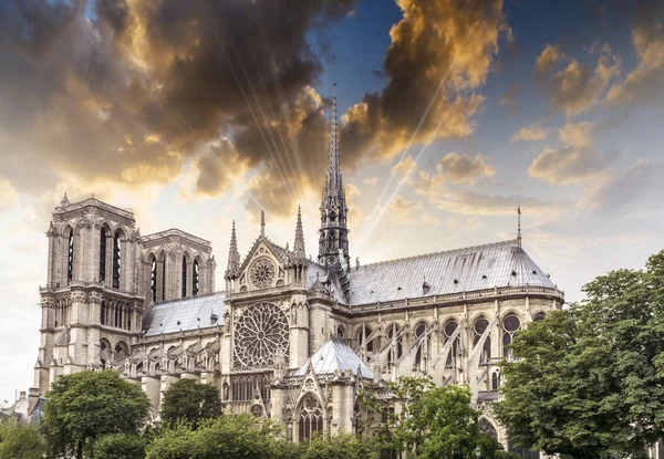 Catedral de Notre Dame, París —  Fotos de Stock