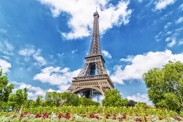 Kulenin altında çiçekler