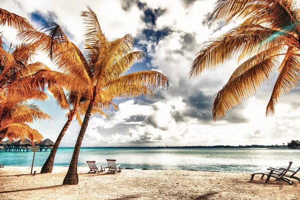 폴리네시아의 해변의 아름 다운 보기 — 스톡 사진