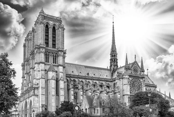 Catedral de Notre Dame em Paris. — Fotografia de Stock