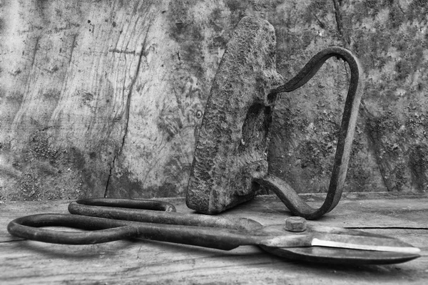 古いツール: フラットアイアンと剪定鋏 — ストック写真