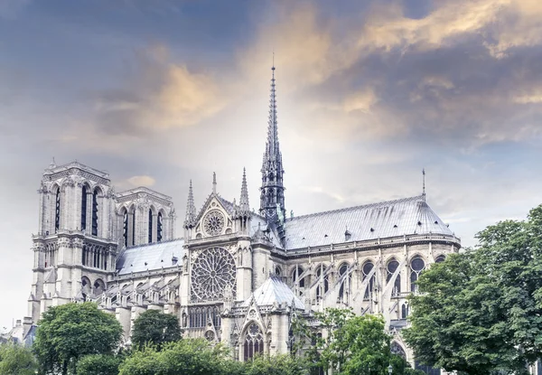 Notre Dame Katedrali, Paris — Stok fotoğraf