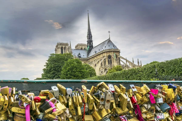 Notre Dame Cathedral from the bridge — Stock Photo, Image