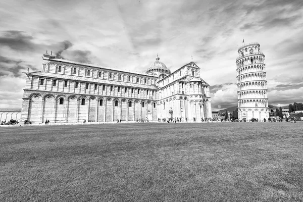 Piazza dei miracoli Pisa. — Stok fotoğraf