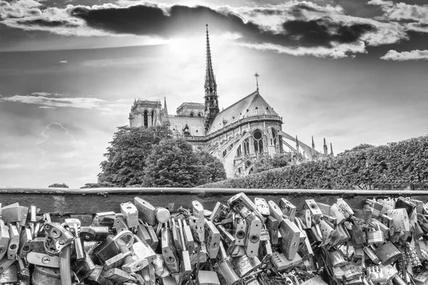 Cattedrale di Notre Dame dal ponte — Foto Stock