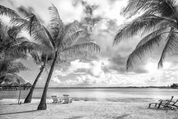 Bella vista sulla spiaggia in Polinesia — Foto Stock