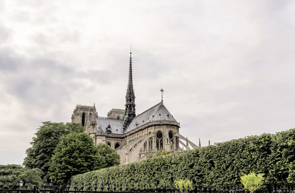 Céu bonito sobre Notre Dame — Fotografia de Stock