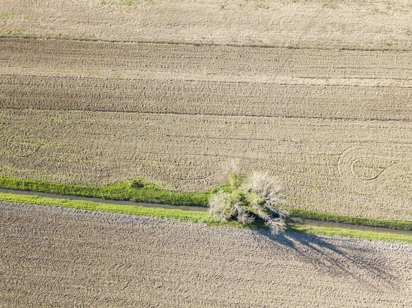 播種準備ができて耕されたフィールドの空中ビュー トスカーナ州 イタリア — ストック写真