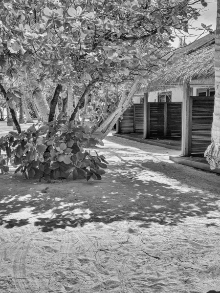 Όμορφο Μπανγκαλόου Τουριστικό Χωριό Στις Μαλδίβες — Φωτογραφία Αρχείου