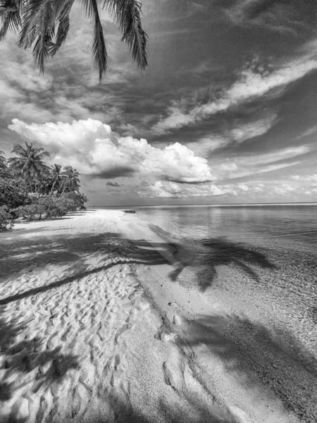 Biała Plaża Krystalicznie Czysta Woda Raj Malediwów — Zdjęcie stockowe