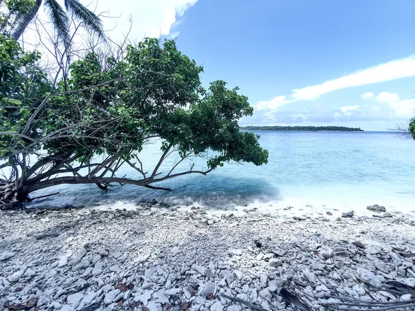 Playa Formada Por Conchas Conchas Que Murieron Después Del Tsunami —  Fotos de Stock