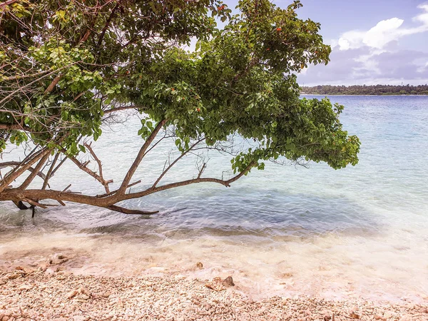 몰디브의 환초에 — 스톡 사진