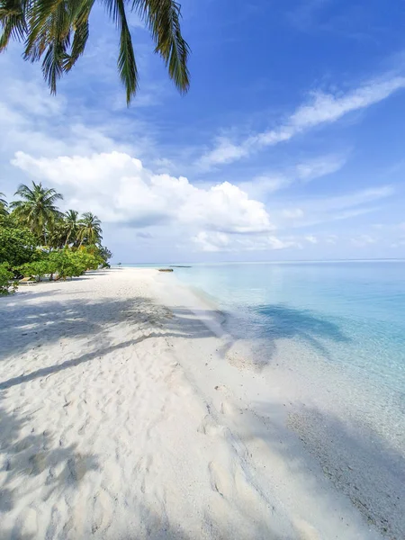 White Beach Crystal Clear Water Paradise Maldives — Stock Photo, Image